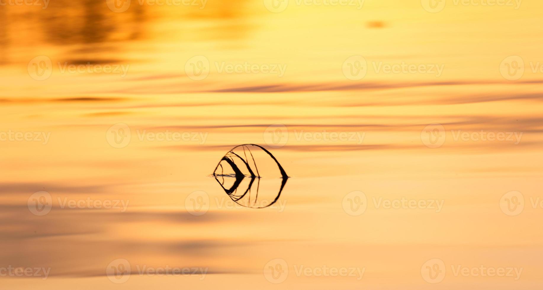 overstroomd weiden in voorjaar foto