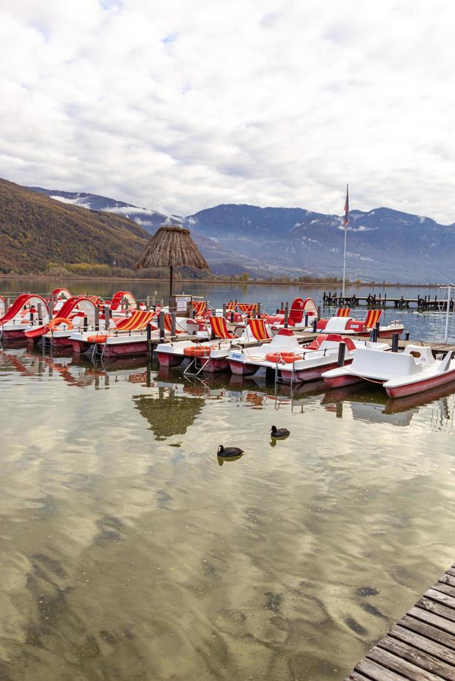 kalen, zuiden Tirol, Italië -14 november 2022 Euraziatisch meerkoeten fulica atra gezien in herfst Bij meer caldaro, een natuurlijk het baden meer met pedaal boot verhuur foto