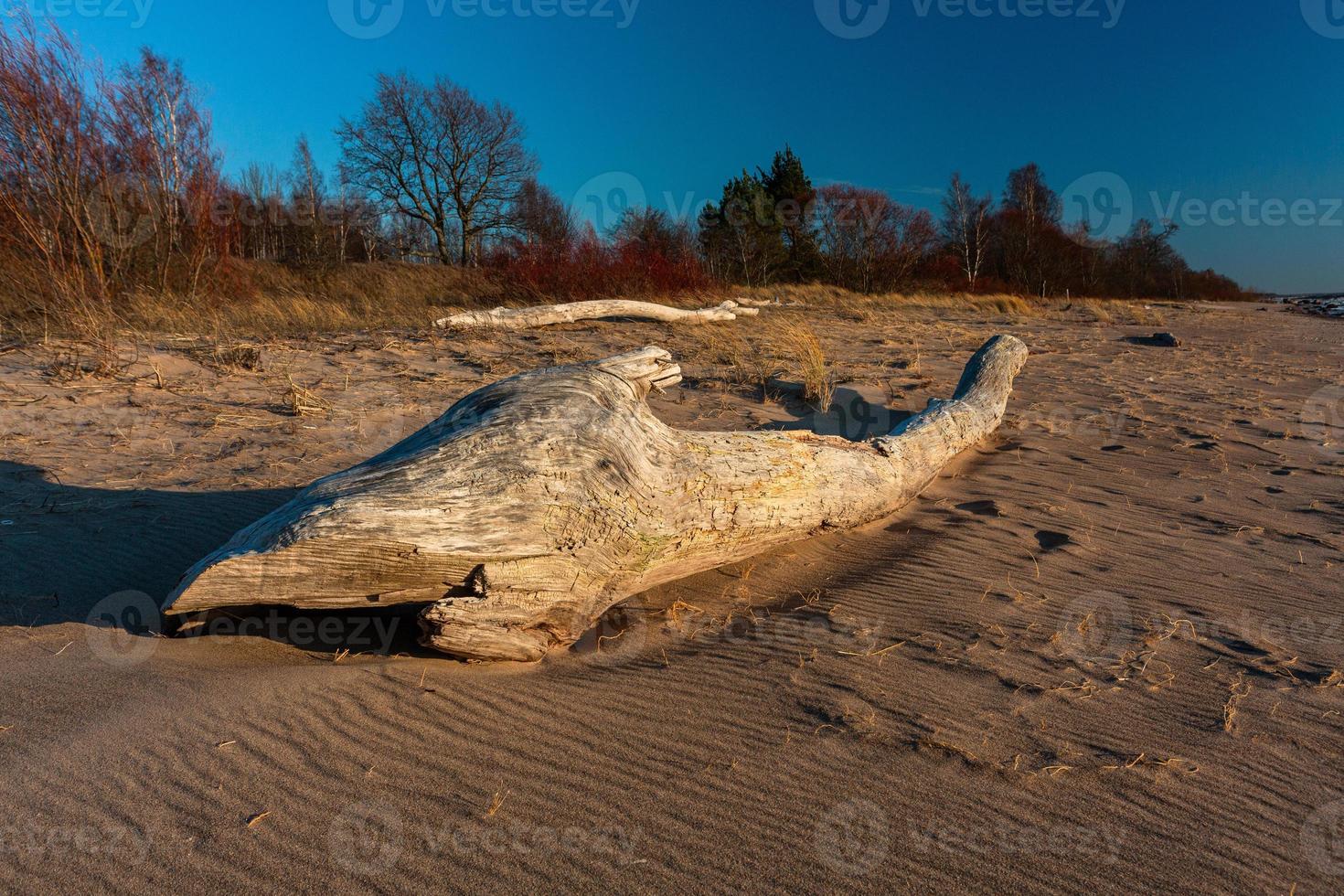 Baltisch zee kust Bij zonsondergang foto