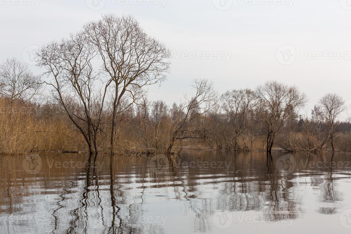 overstroomd weiden in voorjaar foto