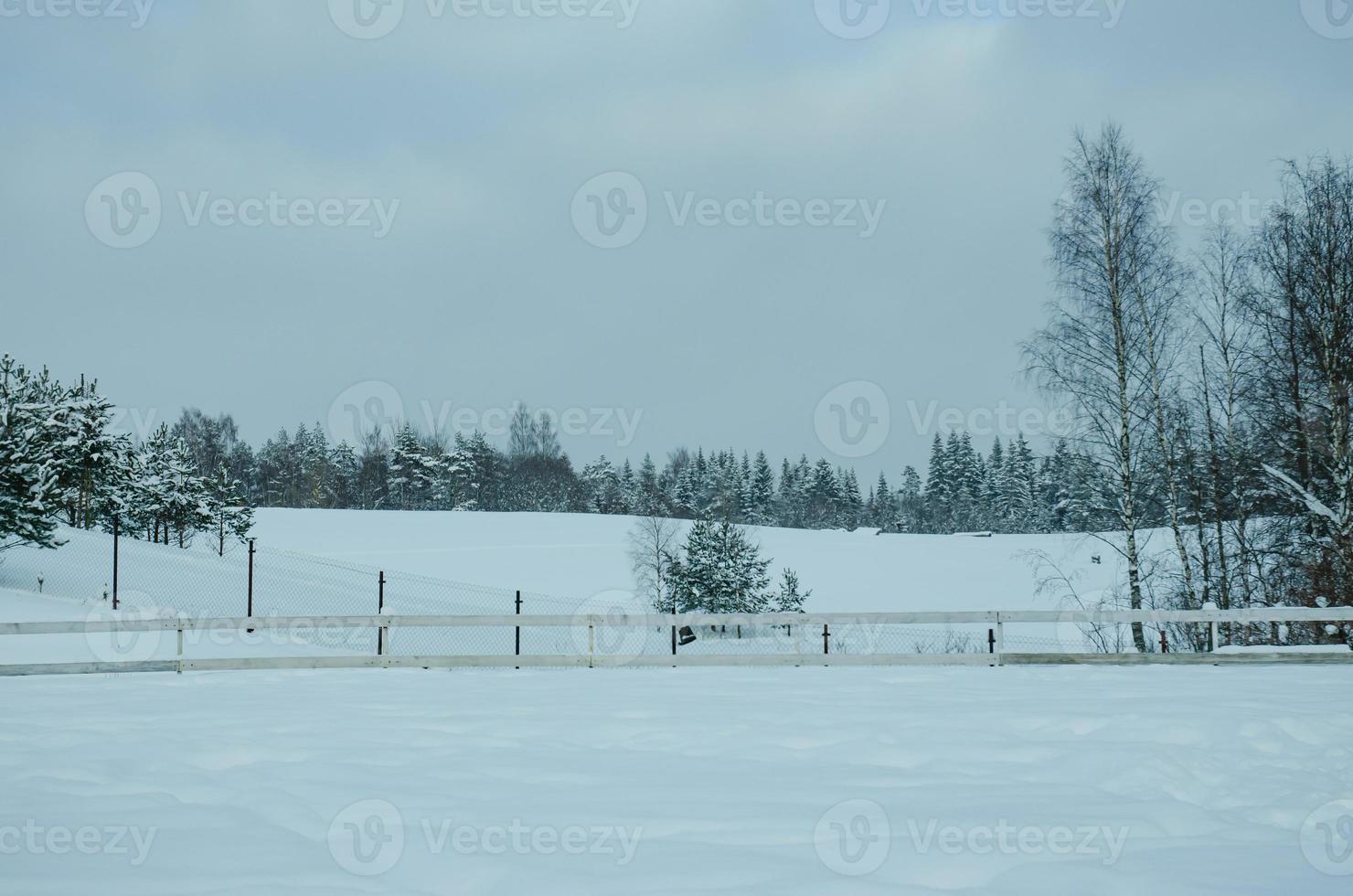 hek hek met verrekening in winter. besneeuwd winter, veel van sneeuw foto