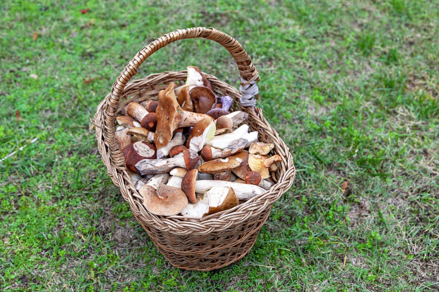 mand gevulde met eetbaar champignons foto