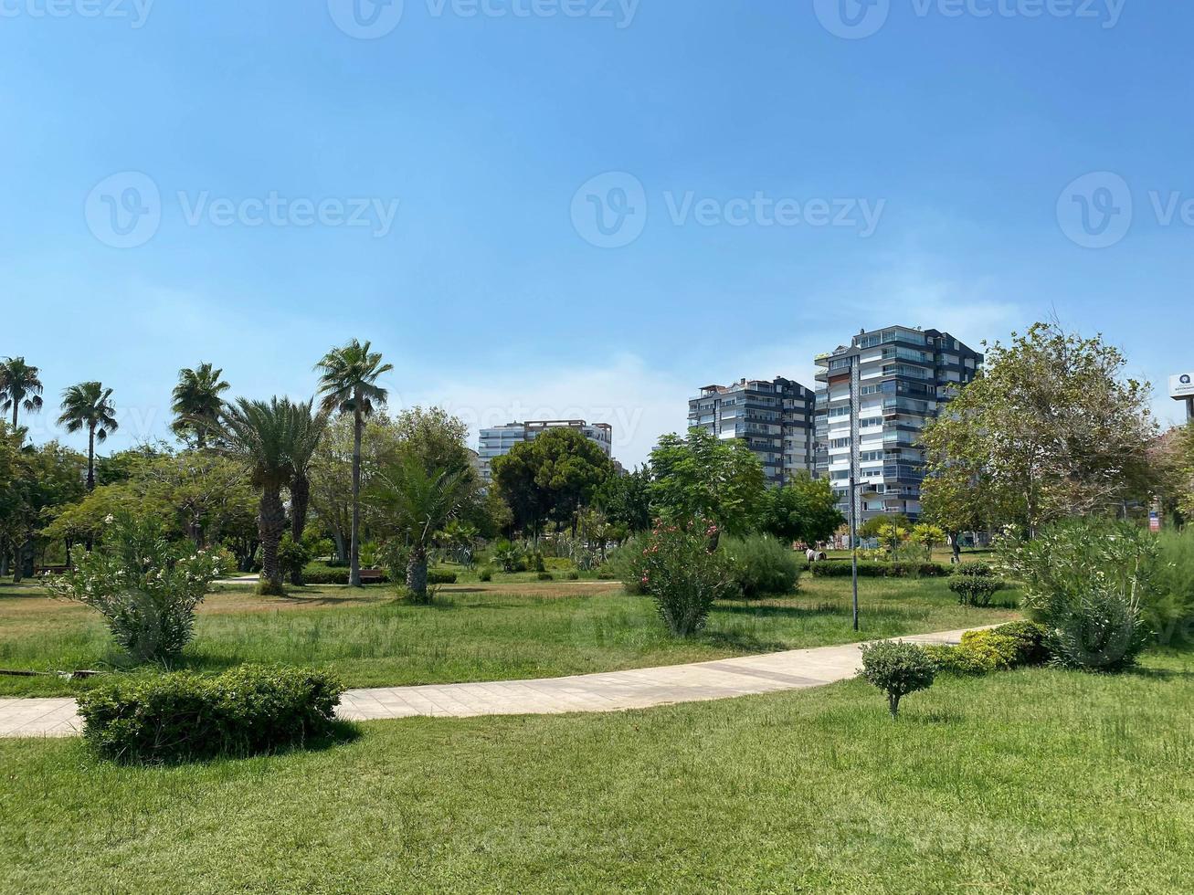 stadsgezicht met zon straal over- de wolkenkrabber en tropisch park foto