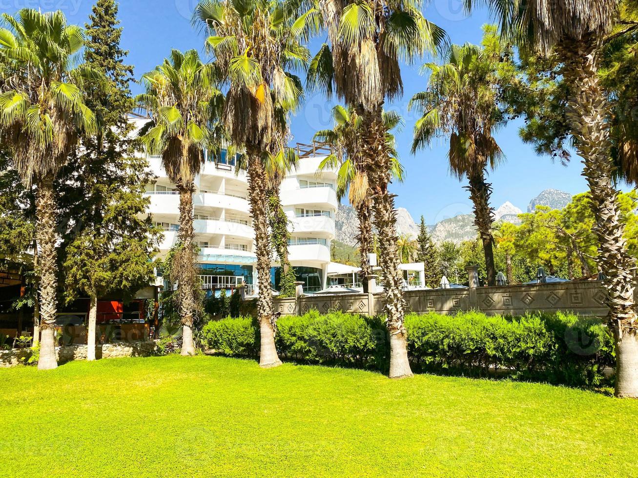 wit modern huis buitenkant met zwemmen zwembad en palm bomen. foto