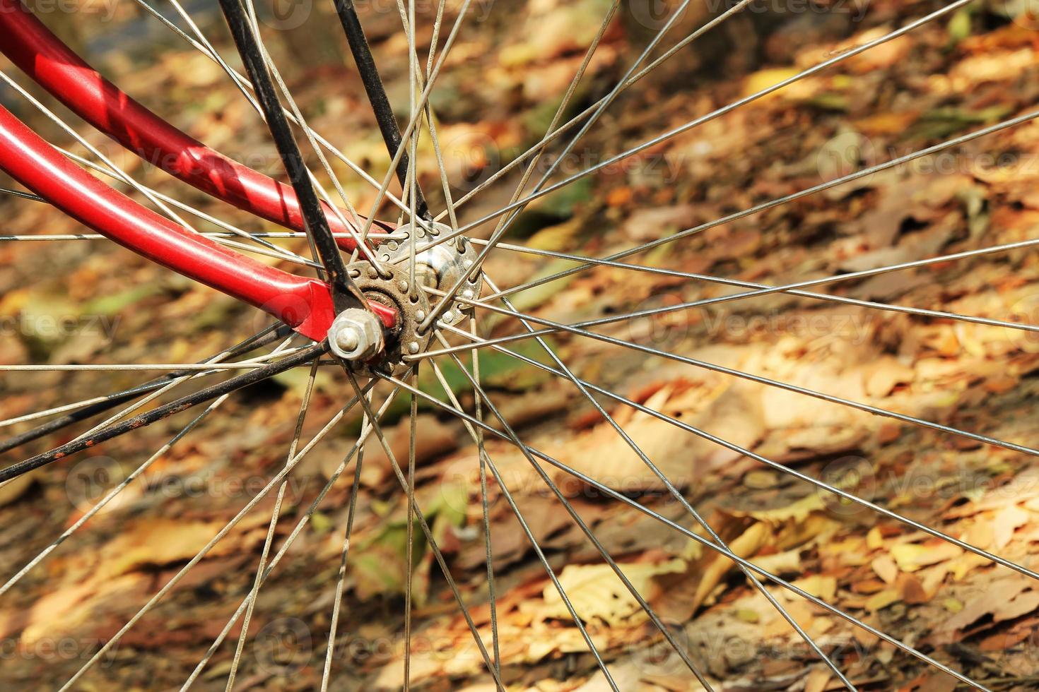 een wiel van fiets detailopname Aan de achtergrond van de herfst kleurrijk bladeren. foto