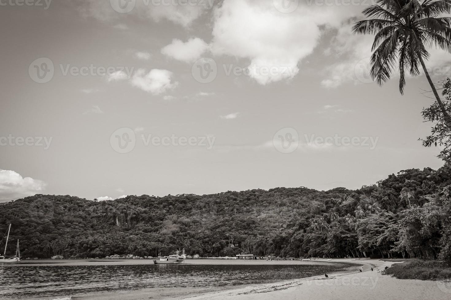 mangrove en pouso strand op tropisch eiland ilha grande brazilië. foto
