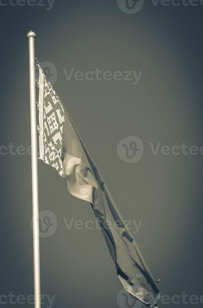 vlag van Wit-Rusland blauw lucht Wit-Russisch vlag rood wit groente. foto
