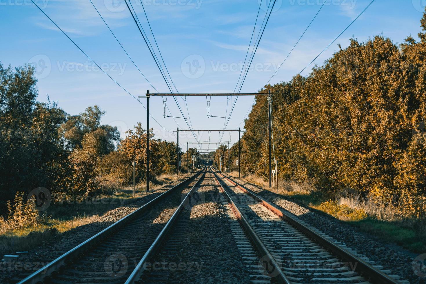 spoorweg perspectief visie in Woud met blauw lucht foto