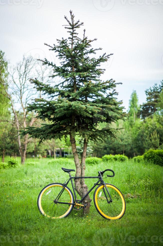 foto van een fiets geparkeerd in de buurt van een boom, close-up.