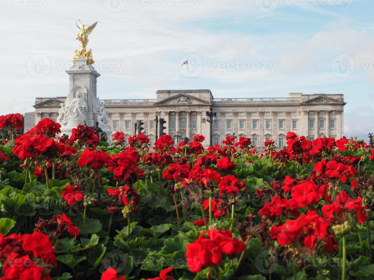 Buckingham paleis in Londen foto