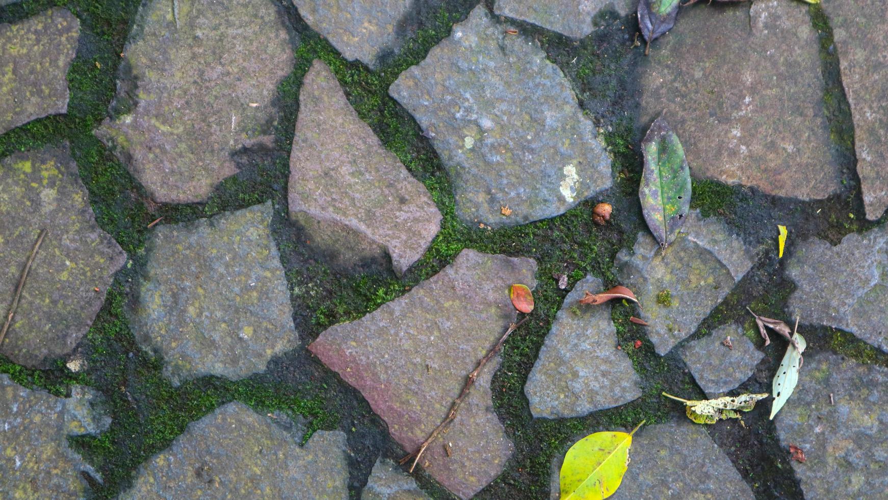 geplaveide pad met gedaald bladeren. net zo achtergrond foto