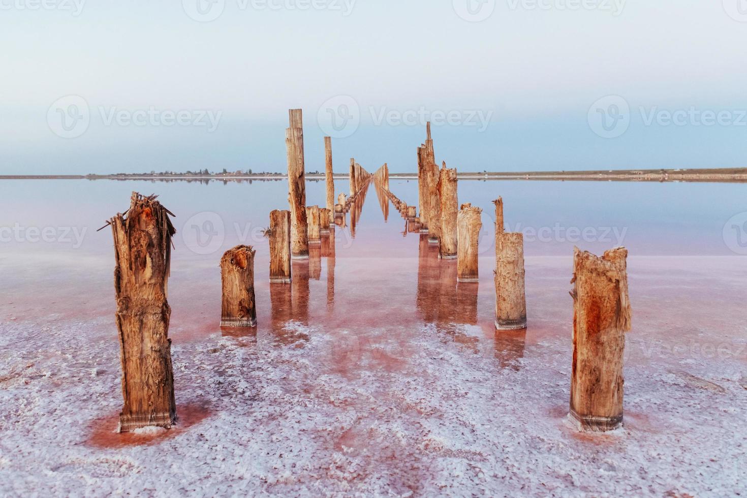 houten obstakels in de zee van jarilgach eiland, Oekraïne. Bij dag foto