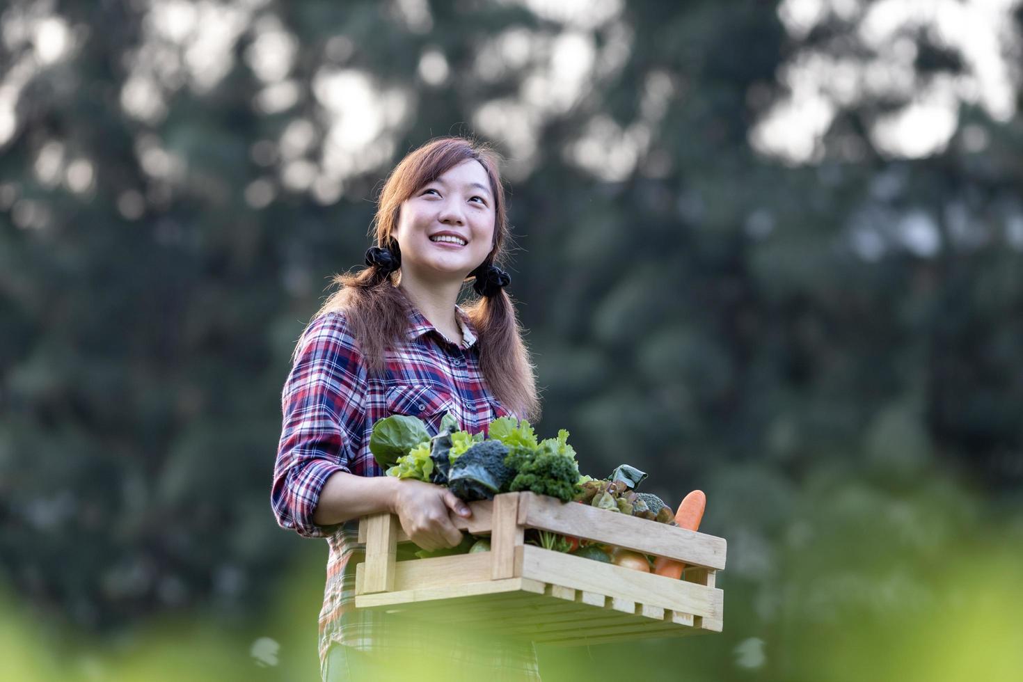 Aziatisch vrouw boer is draag- de houten dienblad vol van vers plukken organische stoffen groenten in haar tuin voor oogst seizoen en gezond eetpatroon voedsel concept foto