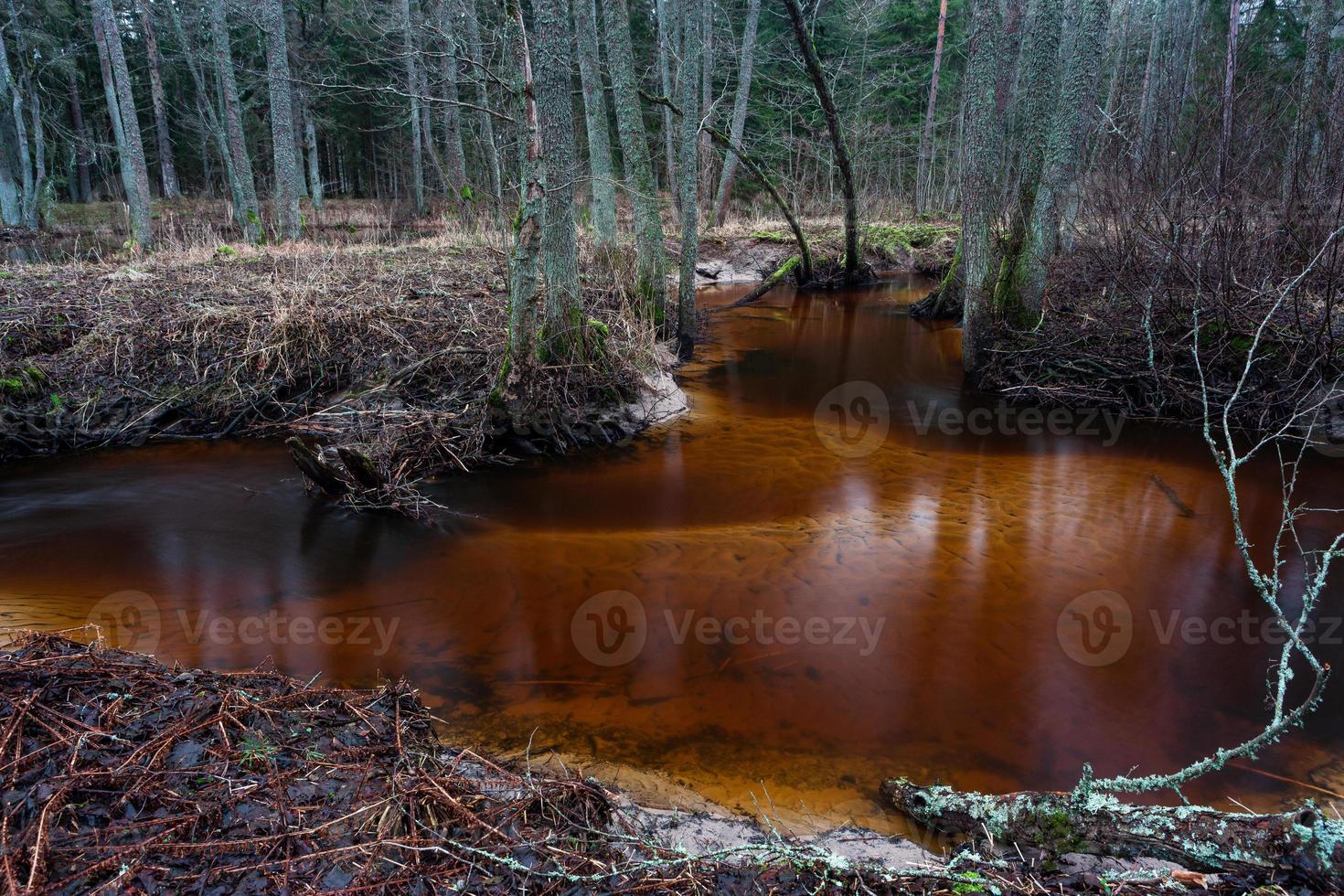 klein Woud rivier- foto