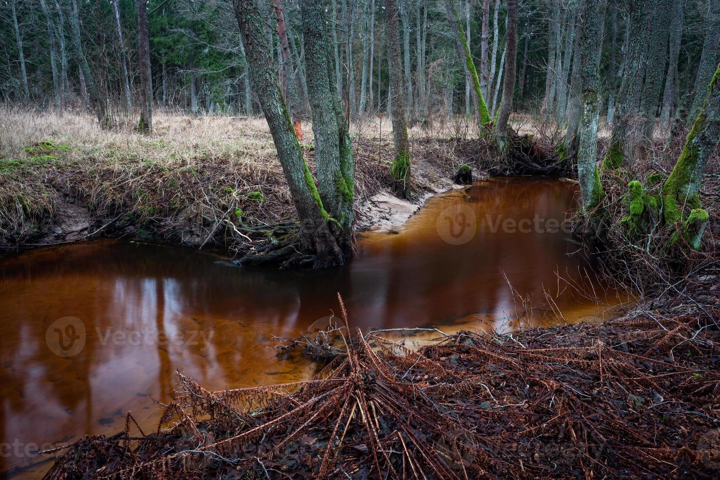 klein Woud rivier- foto