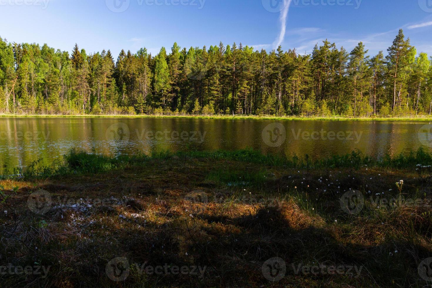 landschappen van de Lets platteland in voorjaar foto