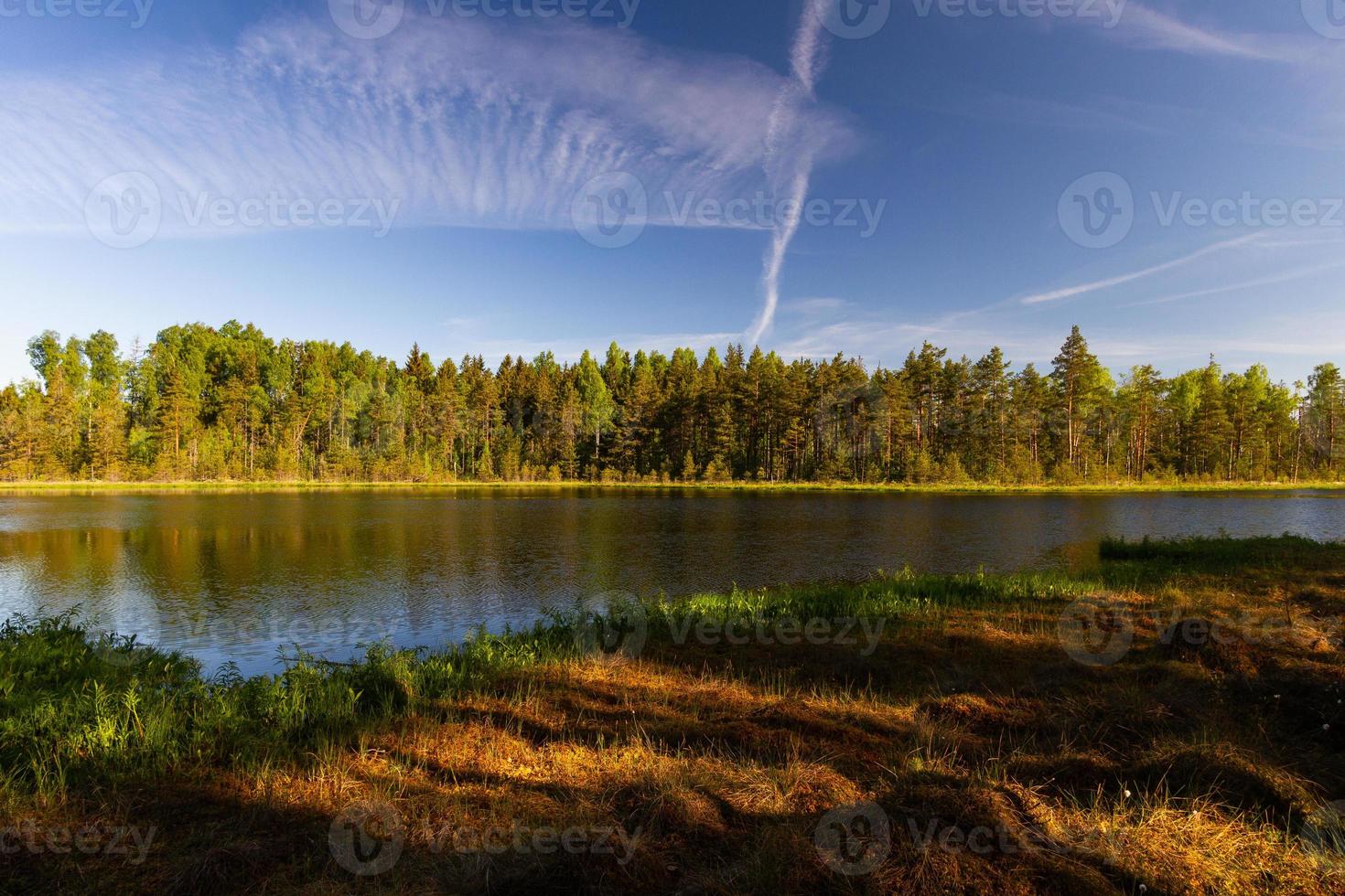 landschappen van de Lets platteland in voorjaar foto