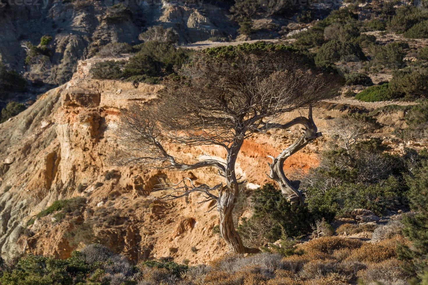 landschappen van naxos, Griekenland foto