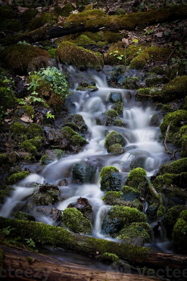 klein Woud rivier- in vroeg lente foto