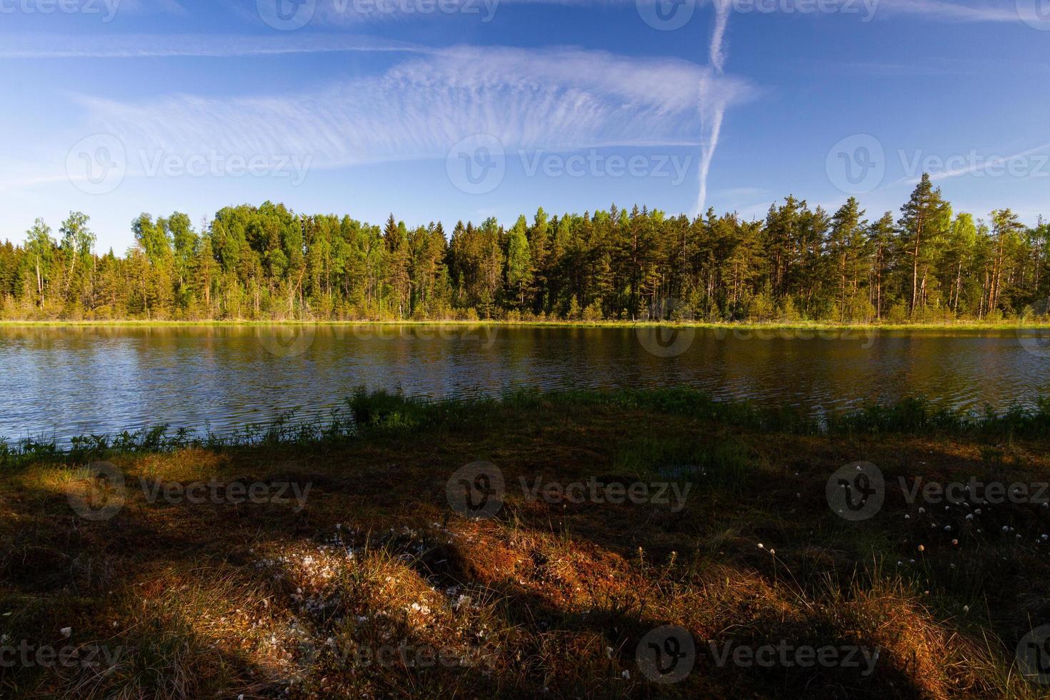 landschappen van de Lets platteland in voorjaar foto