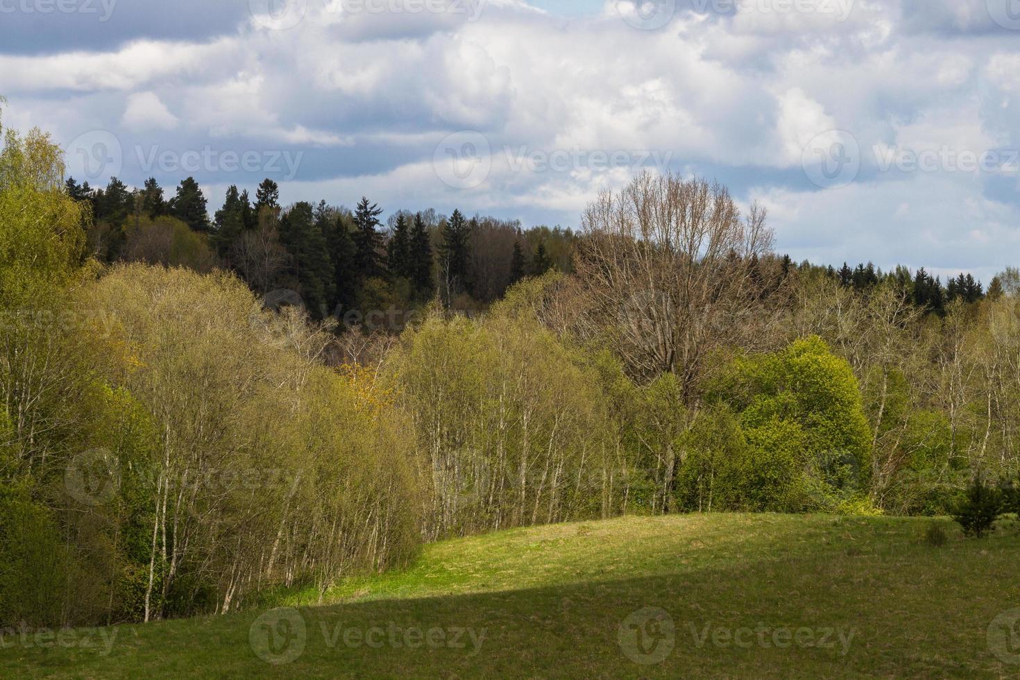 landschappen van de Litouws platteland in voorjaar foto