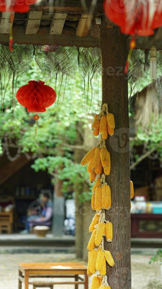 de strings van maïs hangende omhoog in de werf in herfst foto