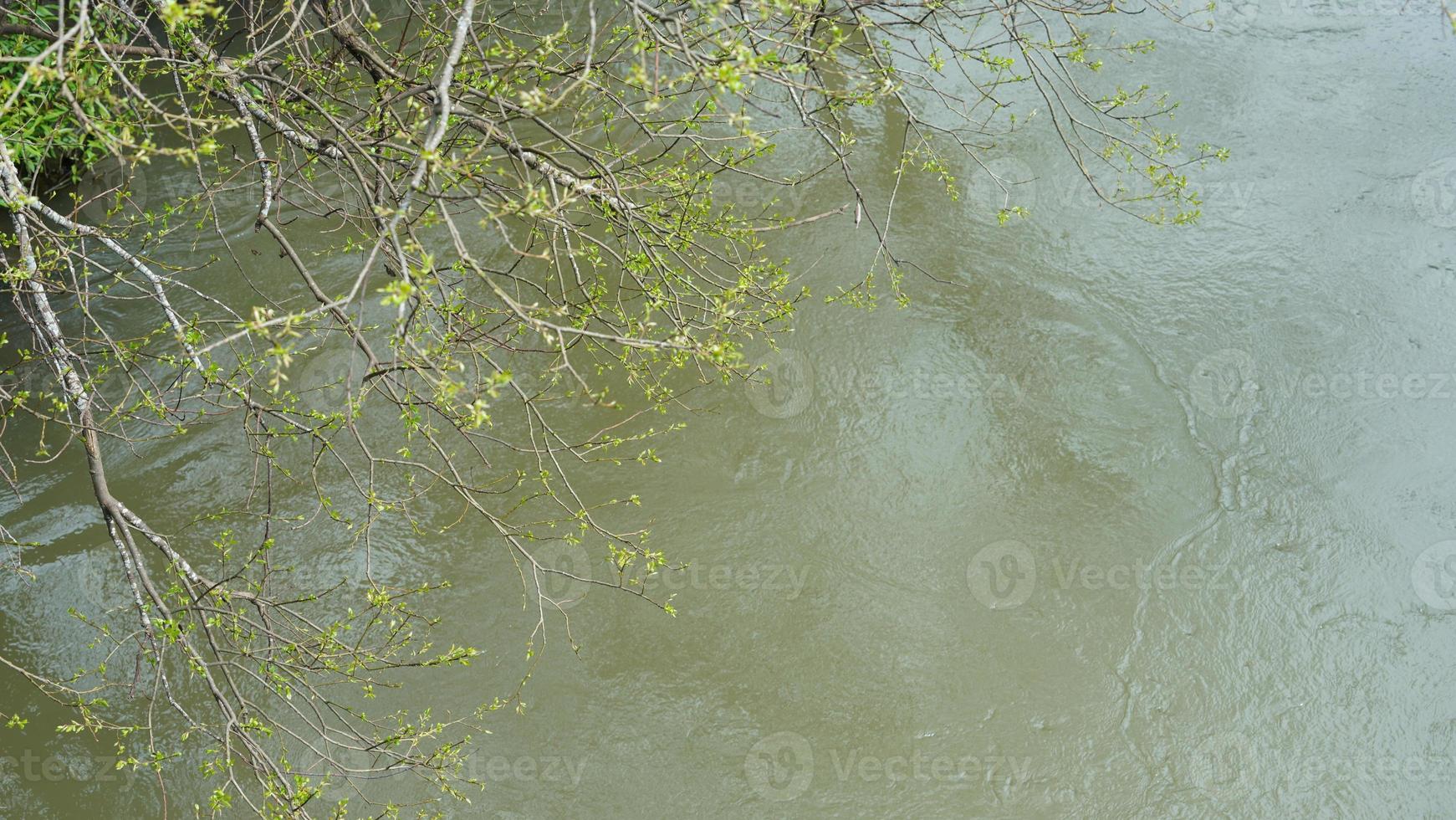 de rennen rivier- visie met de bomen Aan het in de platteland foto