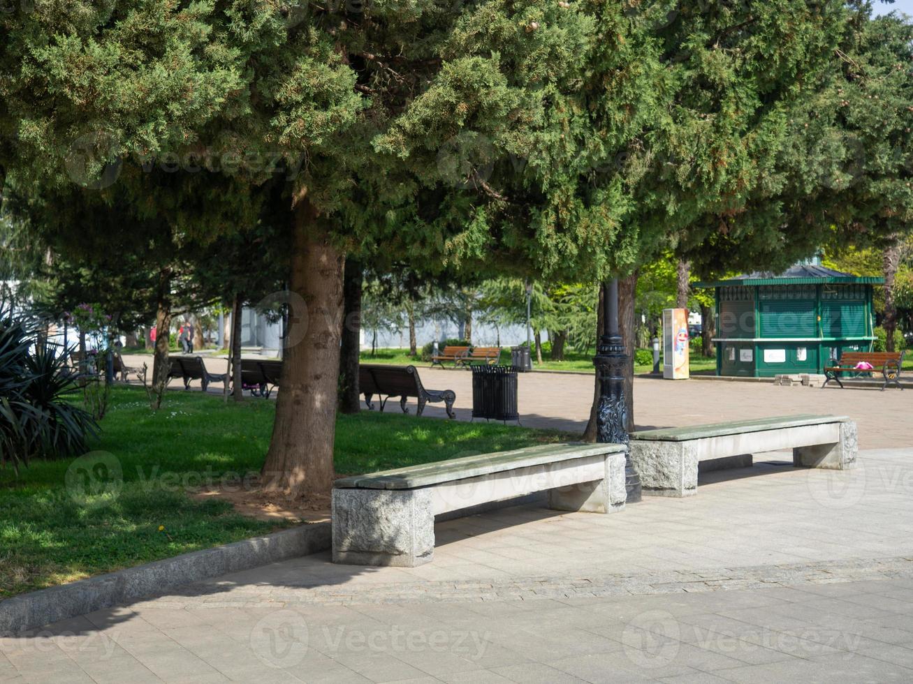 banken in voorjaar groen park. de stilte van de park. mooi hoor stil plaats. foto