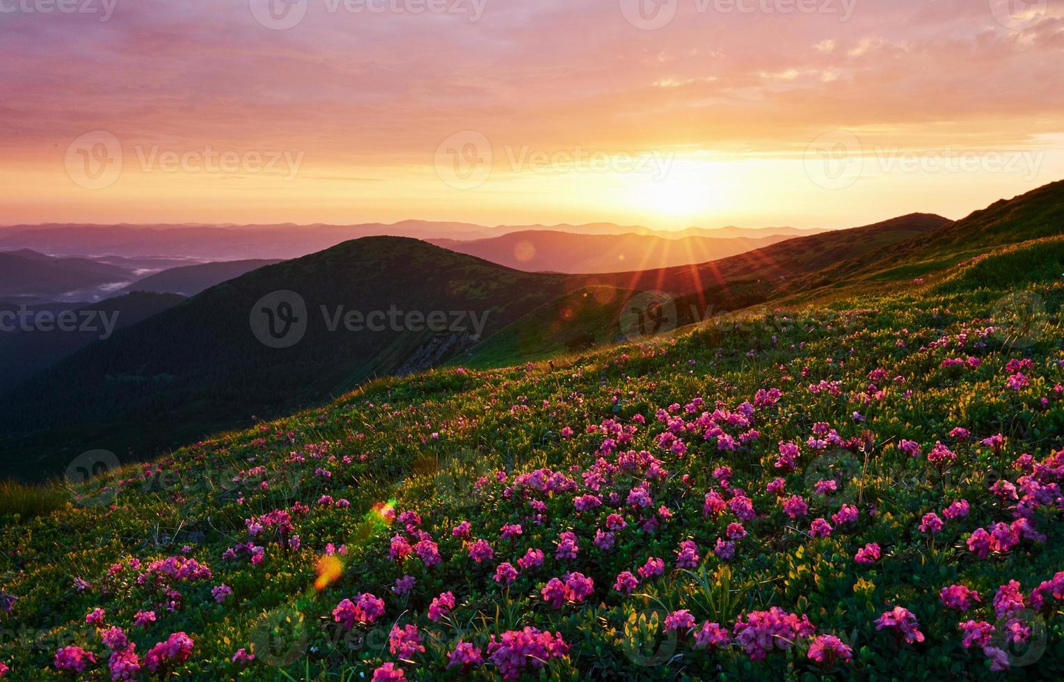 bewolkt lucht. majestueus Karpaten bergen. mooi landschap. adembenemend visie foto