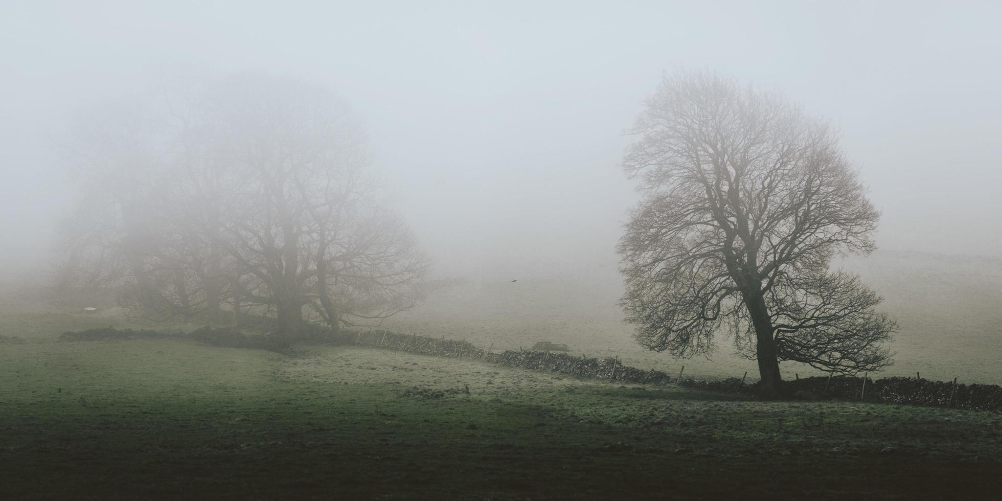 een heuvelachtig landschap bedekt met mist foto