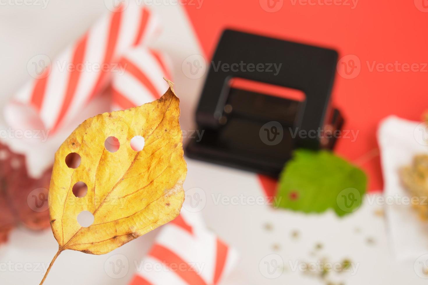 confetti van natuurlijk materialen, nul verspilling levensstijl, eco vriendelijk herfst bladeren confetti met een gat stempel foto