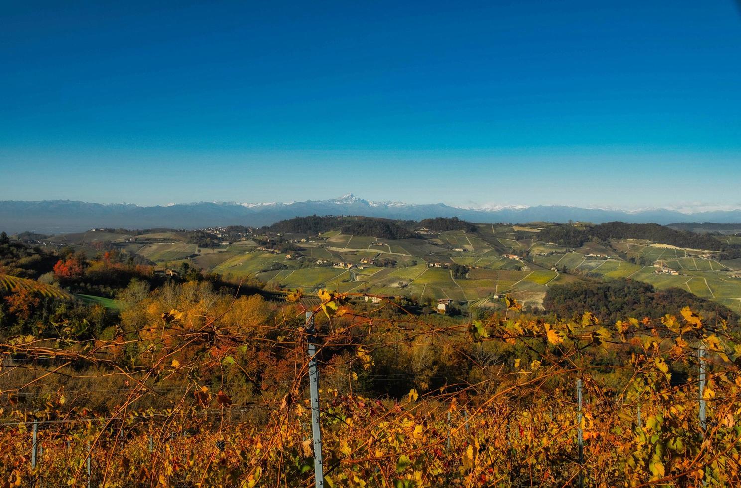 de kleuren van de langhe in herfst in serralunga alba, met de wijngaarden en heuvels dat zijn gekleurde met warm kleuren Leuk vinden de herfst seizoen foto