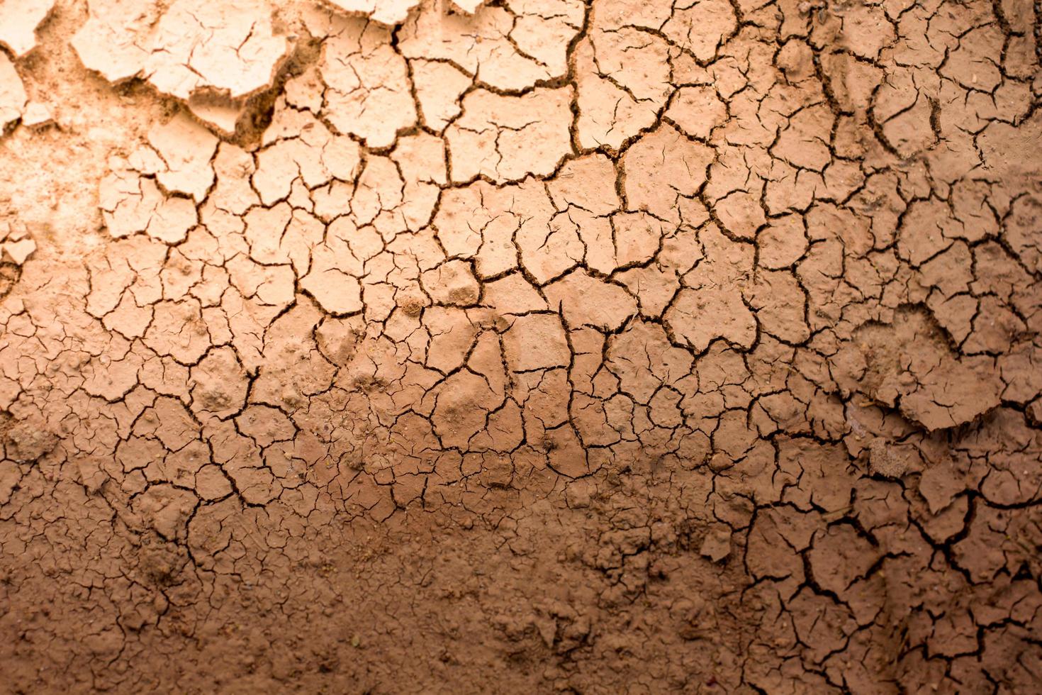 barst van droog bodem structuur achtergrond foto