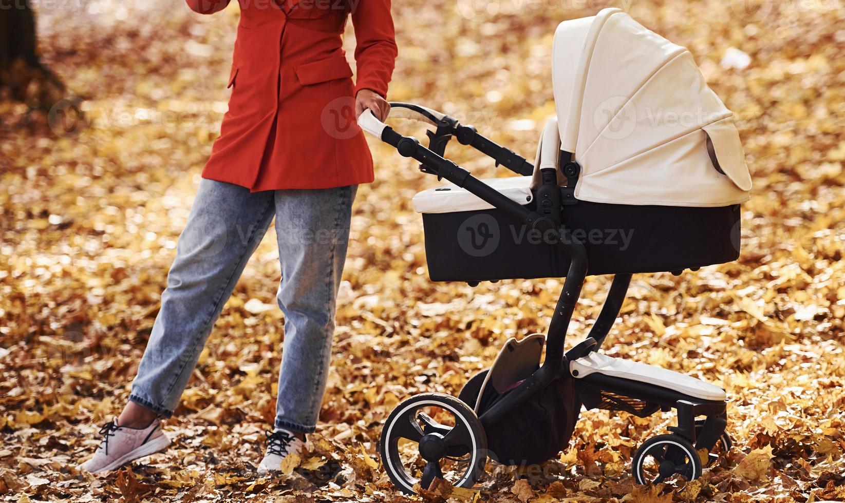 dichtbij omhoog visie. moeder in rood jas hebben een wandelen met haar kind in de kinderwagen in de park Bij herfst tijd foto