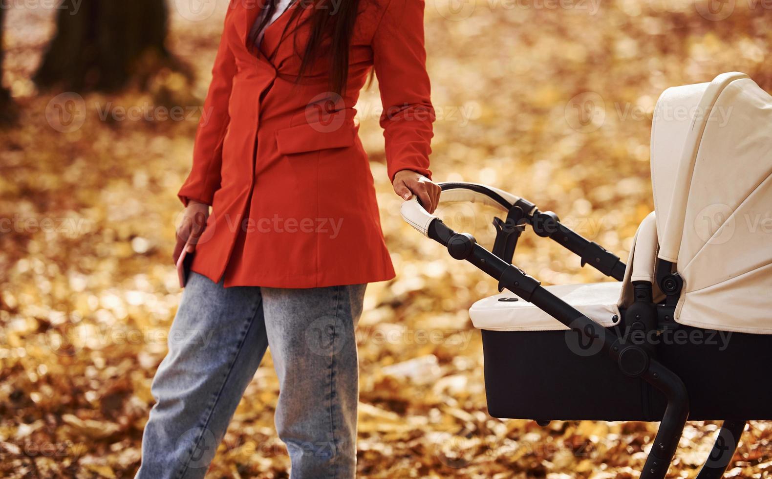 dichtbij omhoog visie. moeder in rood jas hebben een wandelen met haar kind in de kinderwagen in de park Bij herfst tijd foto