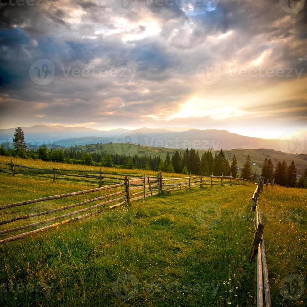 mooi veld- in Karpaten foto