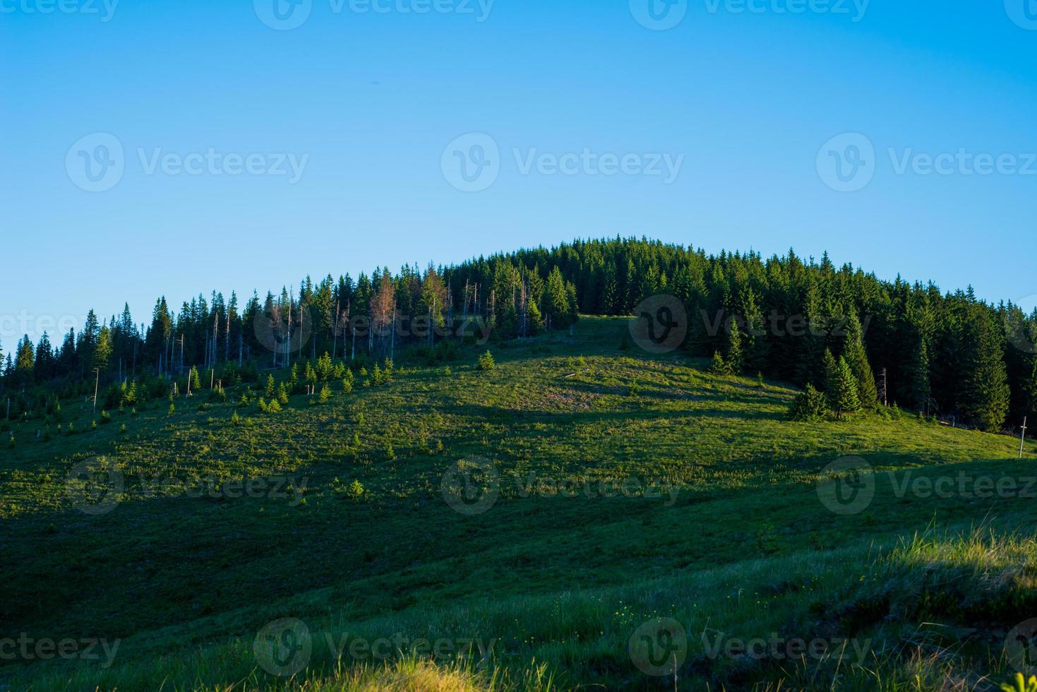 blauw lucht en groen heuvels. foto