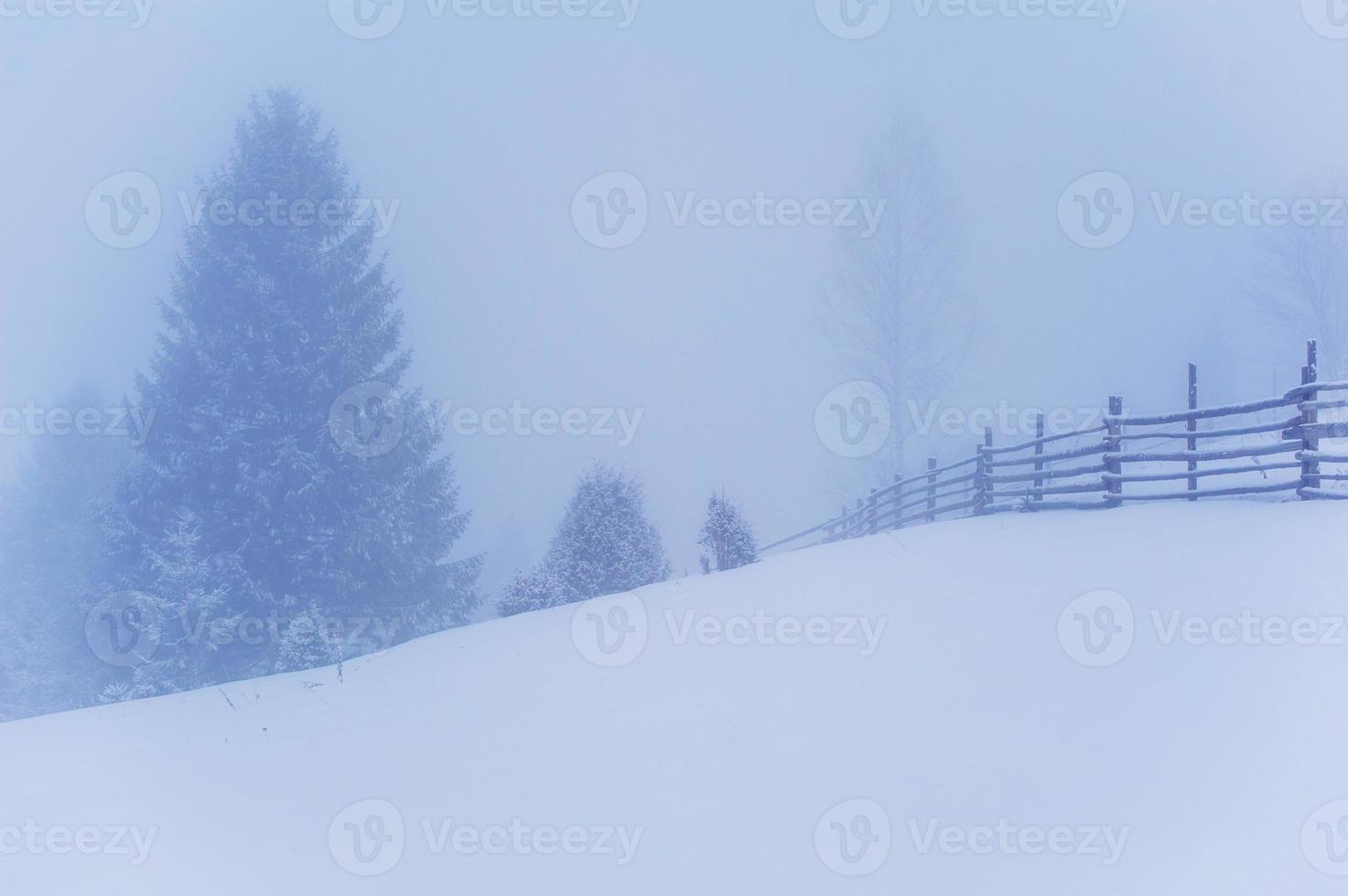 winterlandschap in de bergen foto