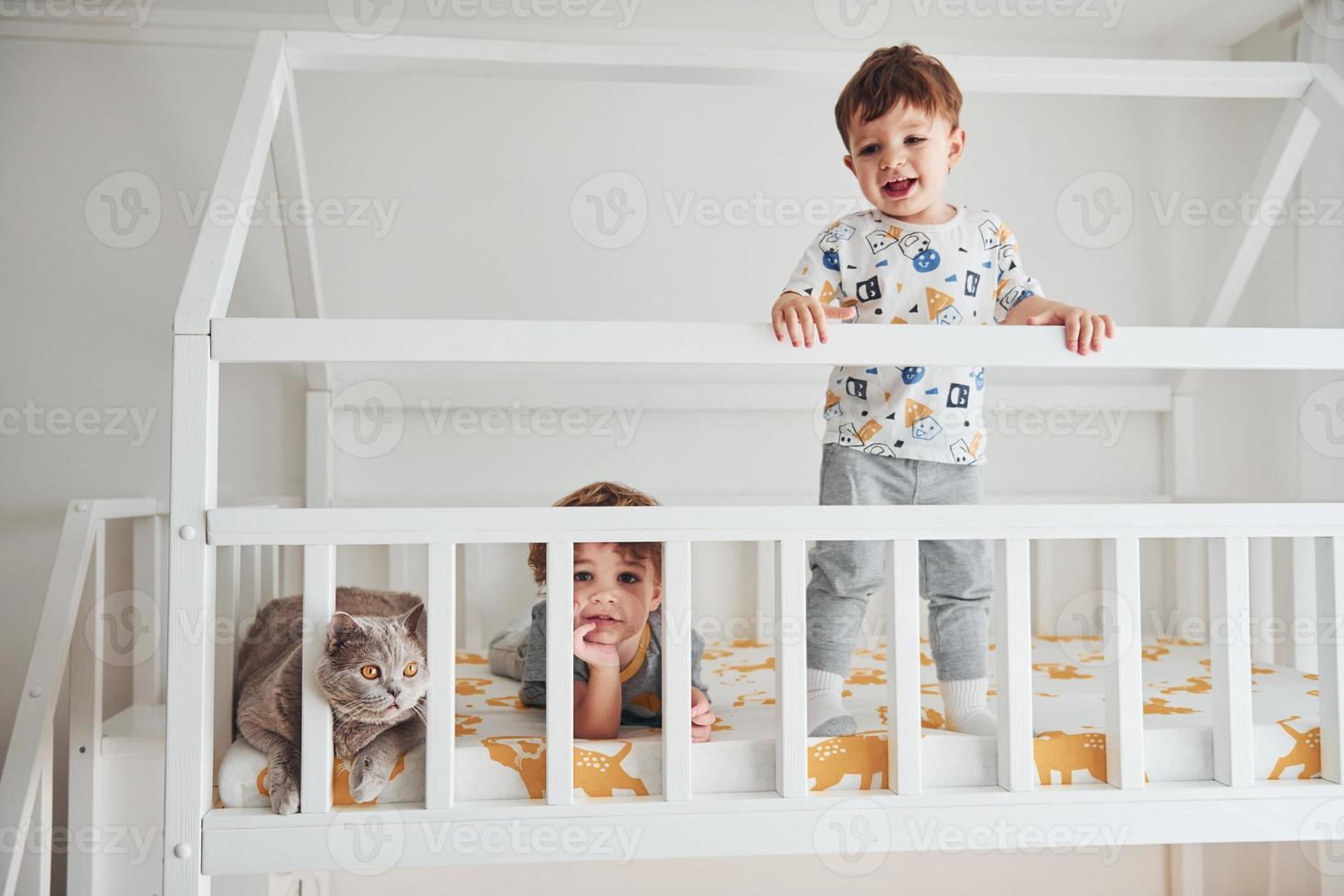 twee weinig jongens resting en hebben pret binnenshuis in de slaapkamer samen. kat zittend in de buurt hen foto