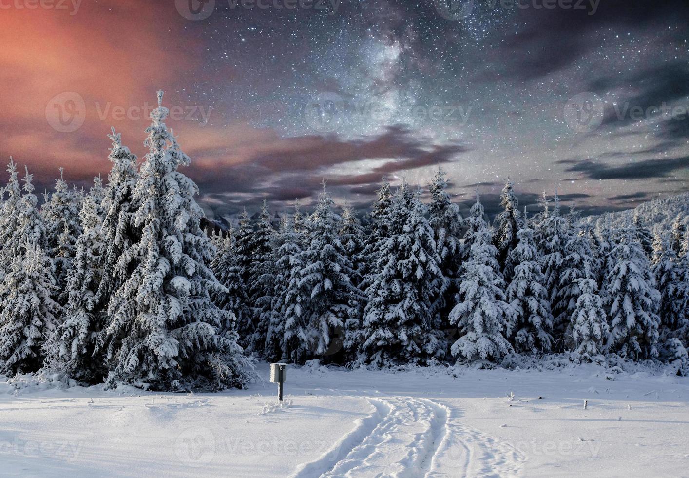 majestueus landschap met Woud Bij winter nacht tijd met sterren in de lucht. landschap achtergrond foto
