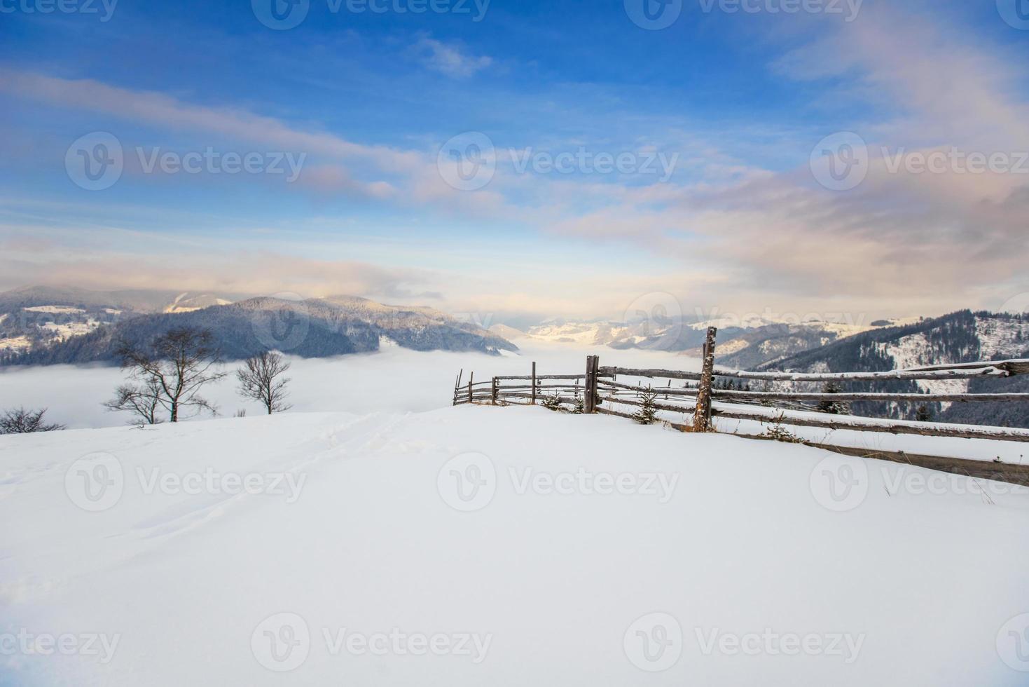 Karpatische winterbergen foto