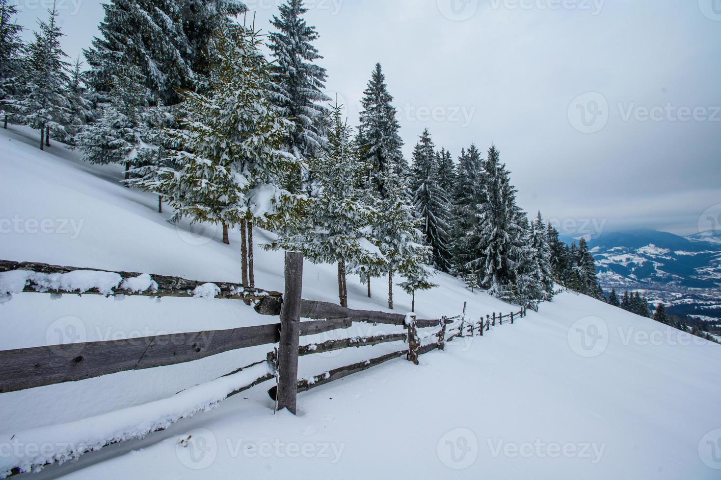 Karpatische winterbergen foto