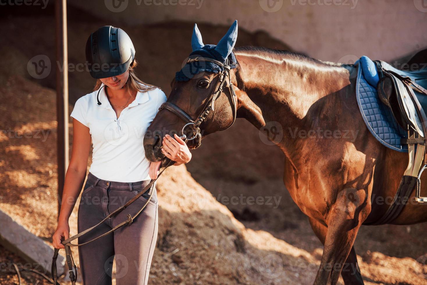 vrolijk humeur. amazone in uniform en zwart met haar paard 15257710 stockfoto bij Vecteezy