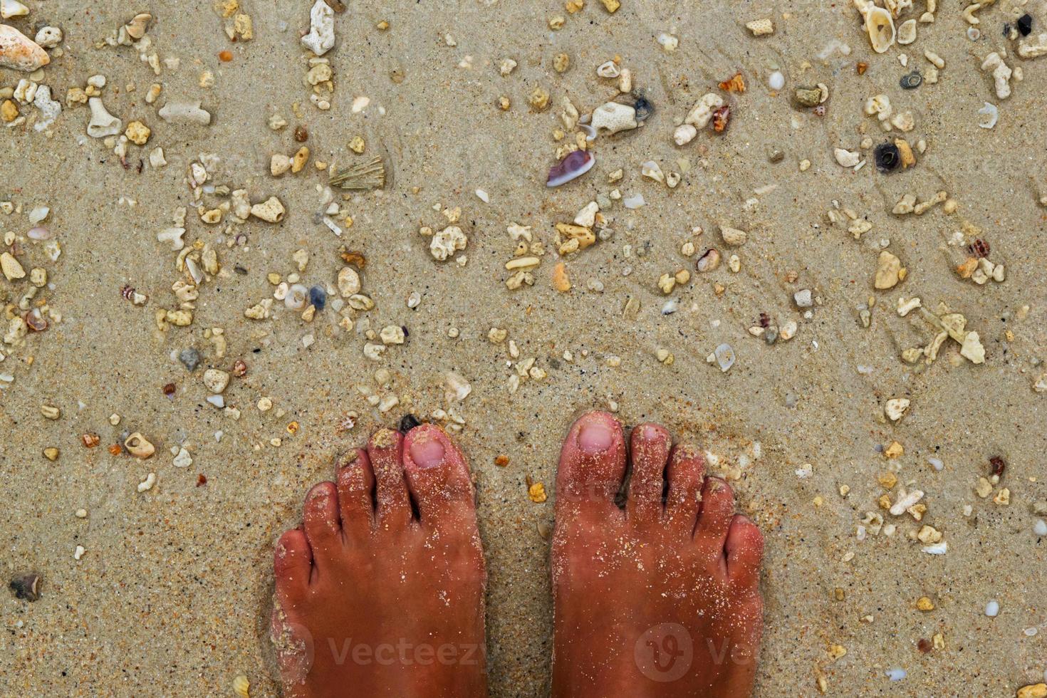 reizen naar krabi, Thailand. de top visie Aan de poten Aan kust met stenen en schelpen Aan zand. foto