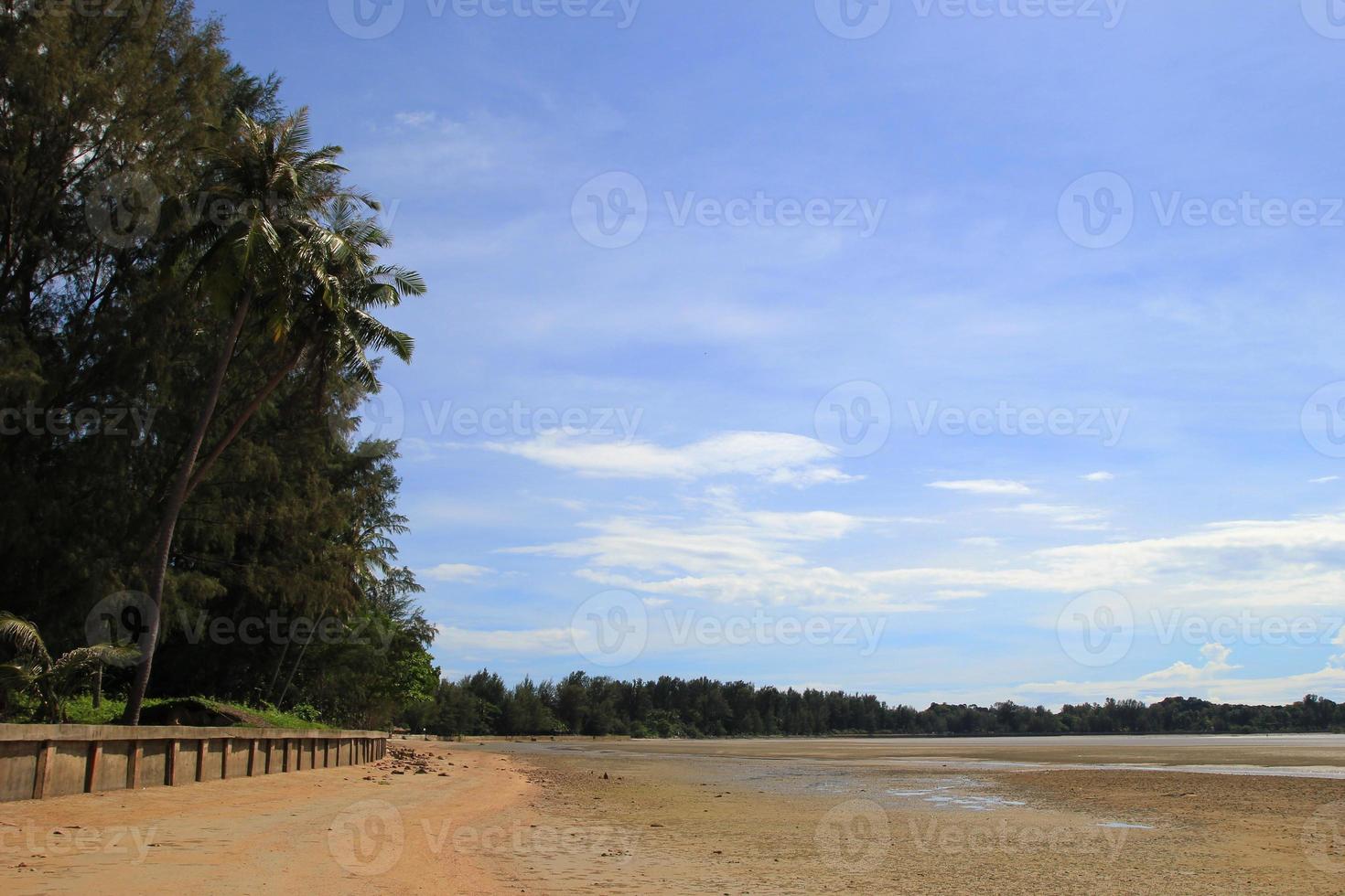 reizen naar eiland koh lanta, Thailand. de visie Aan de zand strand met palmen en sporen van krabben Aan een zonnig dag. foto