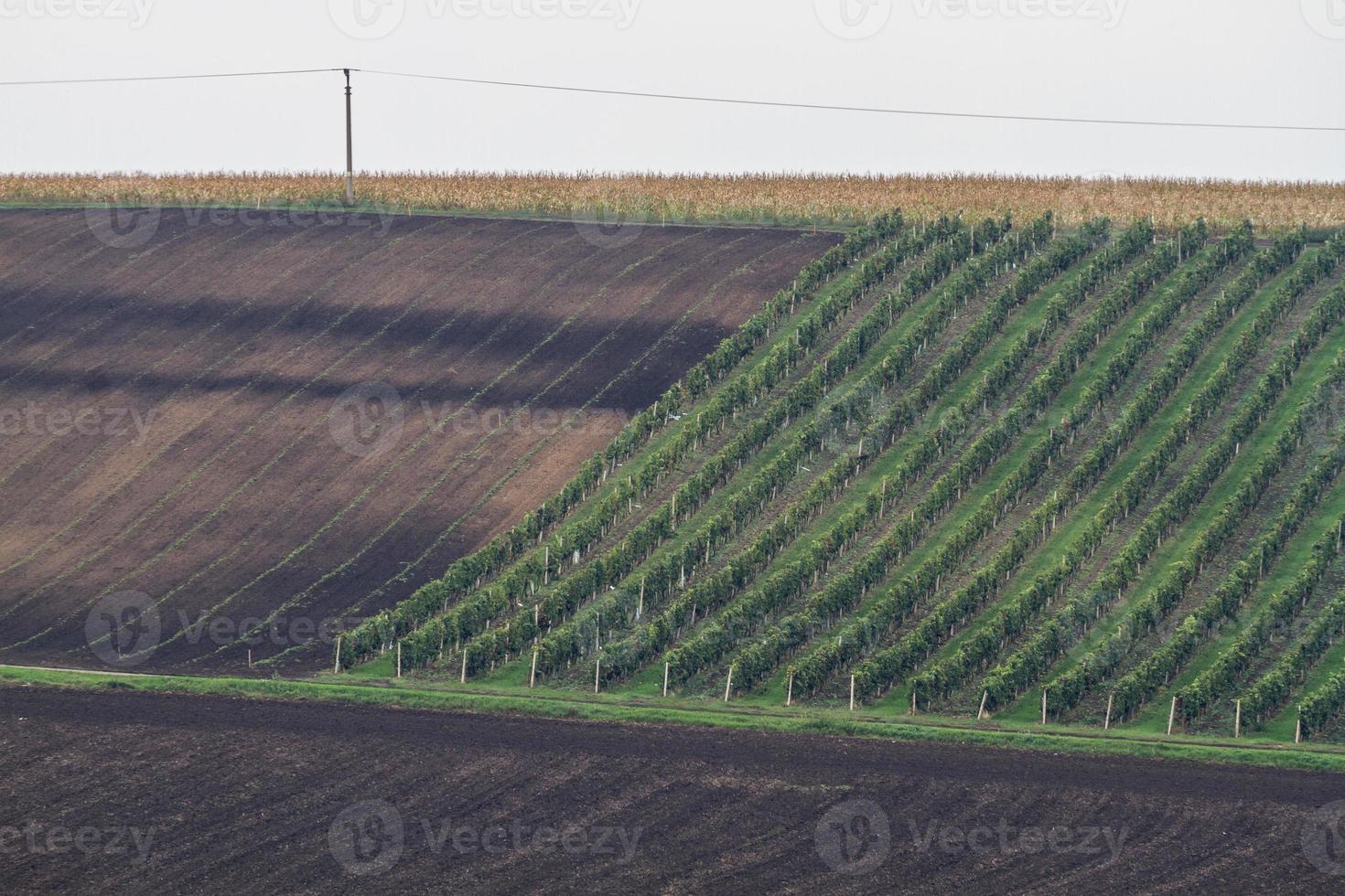 herfst landschap in een Moravisch velden foto