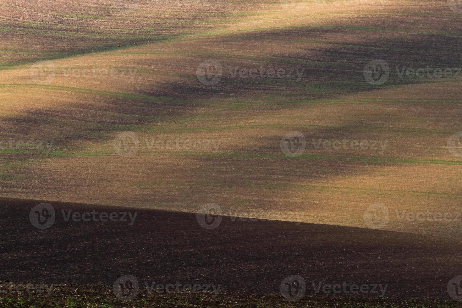 herfst landschap in een Moravisch velden foto