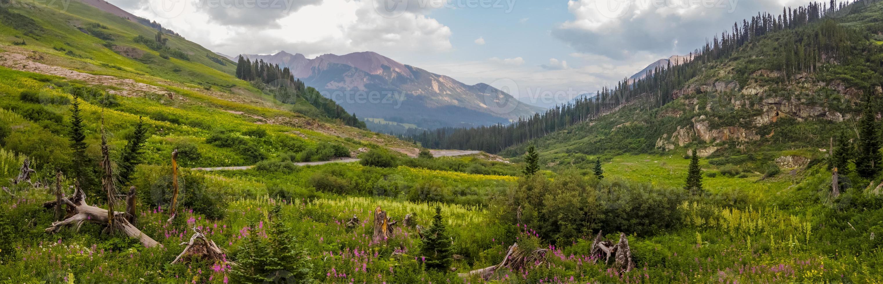 panoramisch visie van wilde bloemen weiden in Colorado rotsachtig bergen in de buurt kuif- butte foto