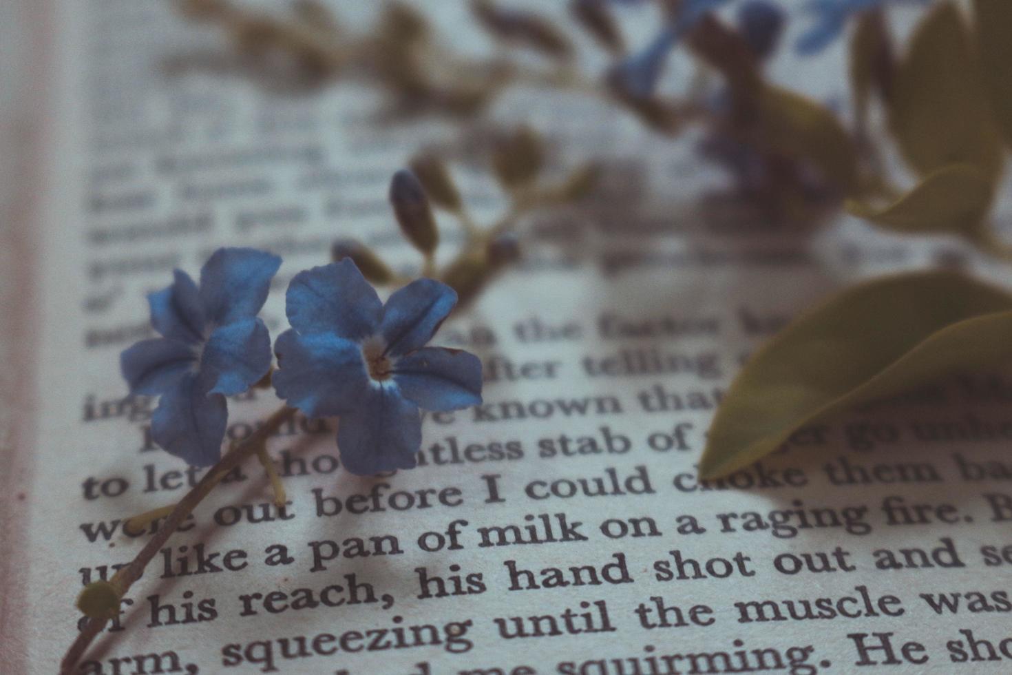 klein Purper bloemen in oud wijnoogst boek foto