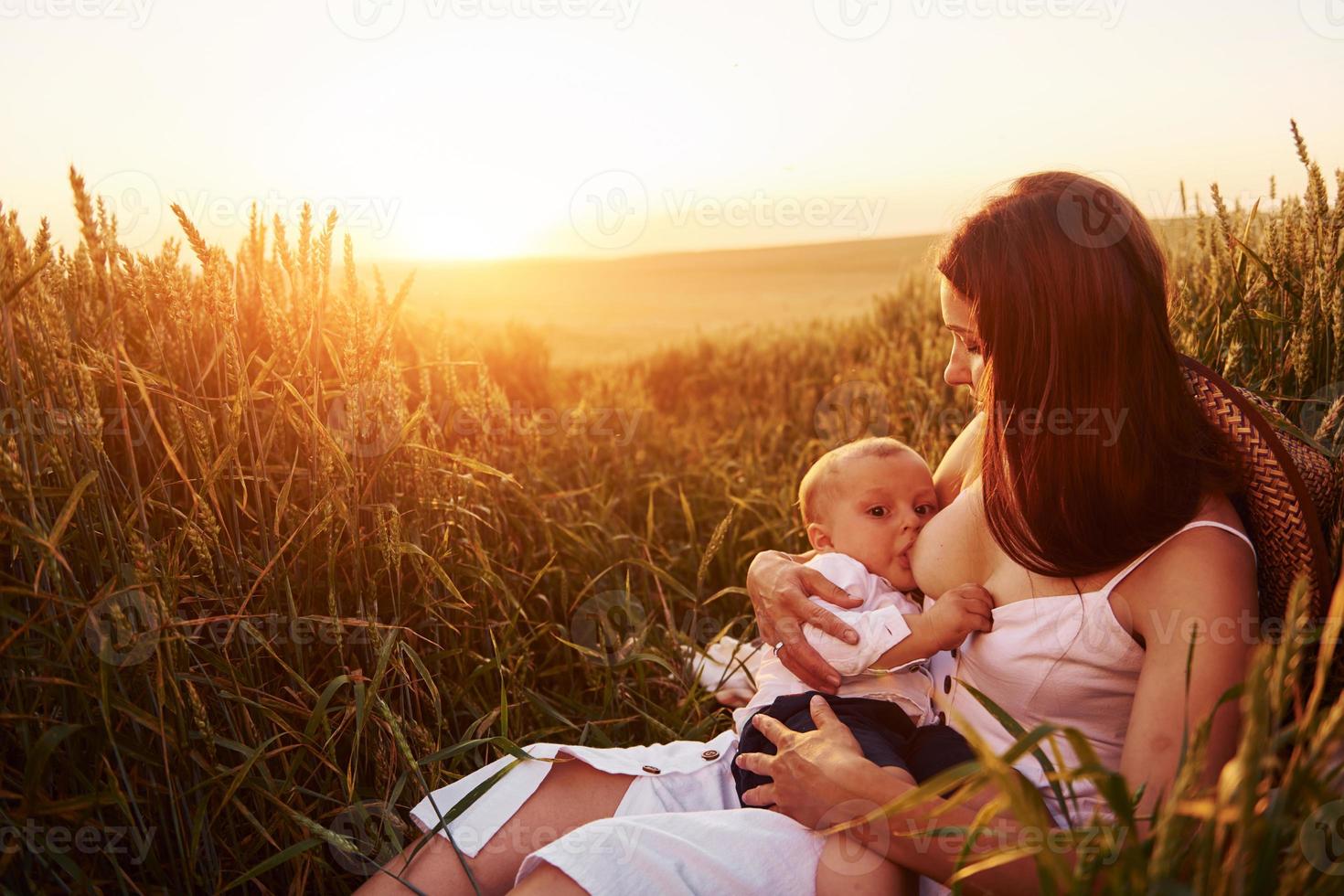 gelukkig moeder borstvoeding geeft haar zoon Aan de veld- Bij zonnig dag tijd van zomer foto